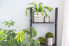 Rustic farmhouse wooden ladder