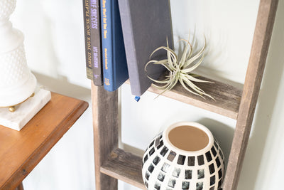 Rustic Farmhouse Throw Blanket Bookcase Ladder